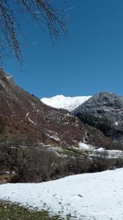 Guesthouse MAMUKA zhabesh - 5