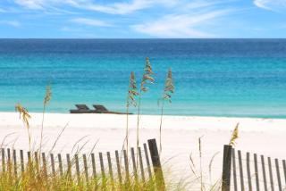 307 Surf Dweller by Alicia Hollis Realtor Rentals - Open March 16th Week - 1