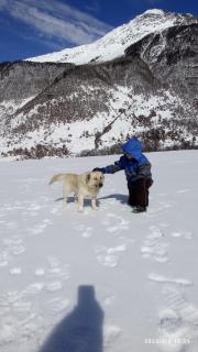 Guesthouse MAMUKA zhabesh - 6