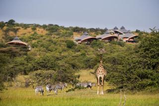 Mahali Mzuri - 8