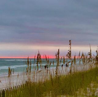 311 El Matador by Alicia Hollis Realtor Rentals - Open March 16th Week - Fort Walton Beach - 0