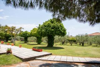 Olivemare Holidays - Nea Iraklia - 7