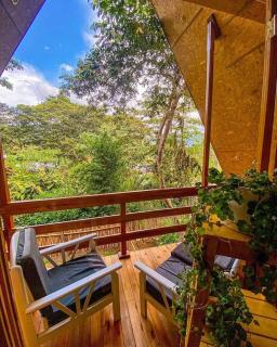 La casa del Erizo - Oxapampa - 5