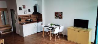 F 207 Primorsko del Sol - просторно студио с кухня - 7