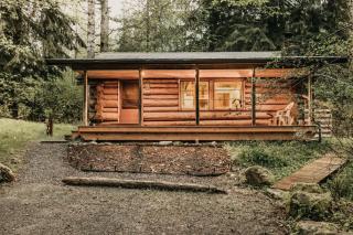 76GS - Genuine Log Cabin - WiFi - Pets Ok - Sleeps 4 home - Glacier - 9