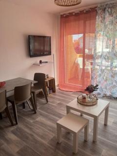 Appartement Argelès-sur-Mer avec piscine à 500m de la mer - Argelès-sur-Mer - 6