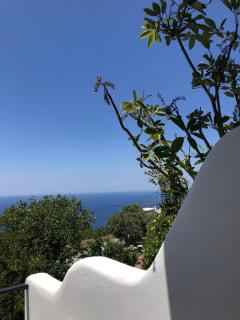 Vlami's House Andros - 1