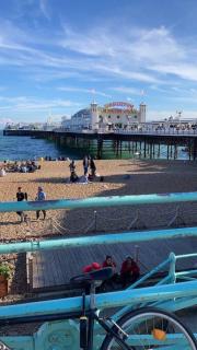 Driftwood by the Sea - Brighton & Hove - 2
