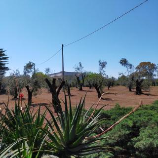 Casa Miclari - Melendugno - 2