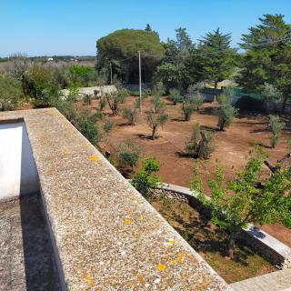 Casa Miclari - Melendugno - 3