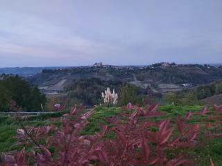 Moon Garden - Mongardino - 4