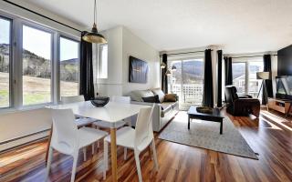 26#52 Chemin du Hameau (studio) - Stoneham - 8