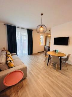 Apartment #12lunipebega Timisoara - Timişoara - 9