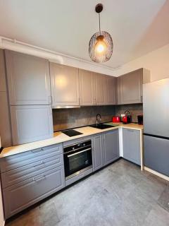 Apartment #12lunipebega Timisoara - 3