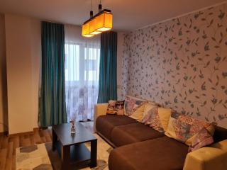 Stefania Apartment Sibiu - Şelimbăr - 5