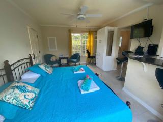 STUDIO Apt 9 Bright comfy with pool on South Coast - Bridgetown - 9