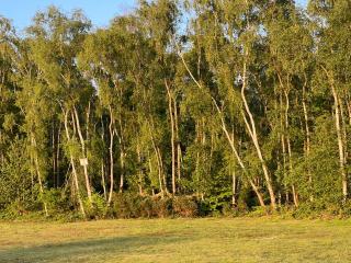 The Grange Luxe2, 5 Bedroom House,Spacious,contractor,family,Internet,free parking,group,study,relocation,easily accessible in Ipswich,Kesgrave - 5