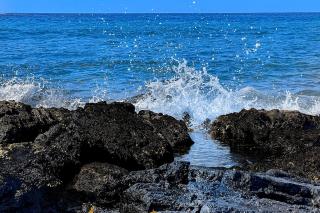 A Little Aloha - Kailua-Kona - 4
