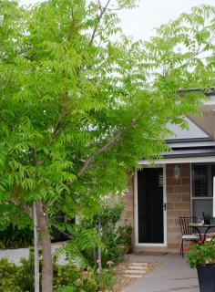 Bartletts Corner - Private Peaceful Studio - Orange - 3