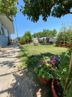 Vila Mare Mateo - 9