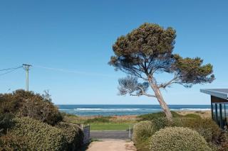 The Dunes - King Studio - 50m from Scamander Beach - Scamander - 0