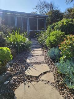 The Dunes - King Studio - 50m from Scamander Beach - Scamander - 9