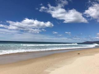 The Dunes - King Studio - 50m from Scamander Beach - Scamander - 6