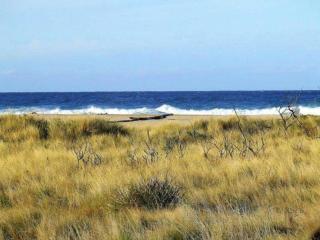 The Dunes - King Studio - 50m from Scamander Beach - Scamander - 4