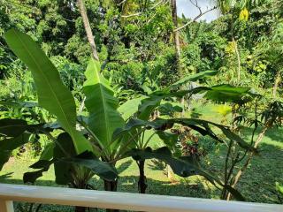 PAVILLON TROPICAL - Petit-Bourg - 5
