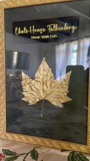 Chalé House Falkenberg - Monte Verde - 7