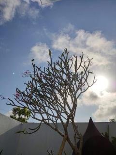 Villa Maitreya - Ungasan - 8