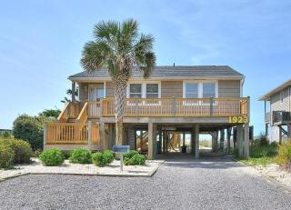 A Painted Palm Tree - Oak Island - 9
