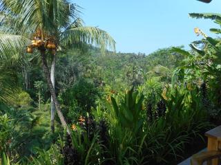 Cegeng Lestari Guesthouse - Sidemen - 4