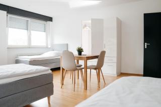 F&E Apartment - groß, freundlich hell - 4