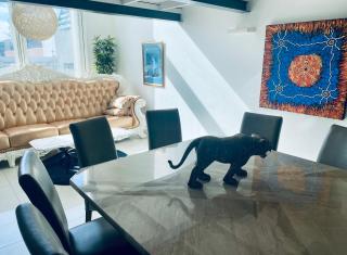 Huge 3 Bedroom 2 story Penthouse on Chapel Street - Melbourne - 3