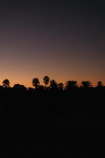 CANVS by CABN Seppeltsfield Barossa - Seppeltsfield - 4