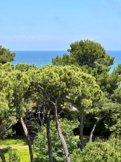 Lortica apartment - Pescara - 5