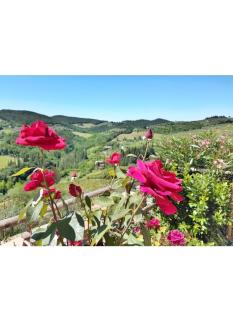 Iris nel Borgo - Greve in Chianti - 9