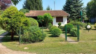 Amazonka - Sombor - 7