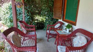 Amazonka - Sombor - 3