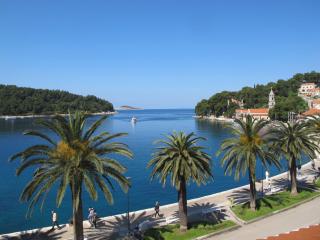 Apartments Seafront - Cavtat - 4