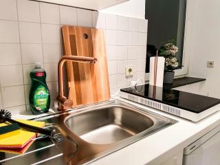 Apartment für 3 Gäste kostenlose Parkplätze und Lift - 4