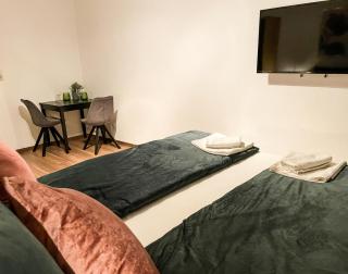 Apartment für 3 Gäste kostenlose Parkplätze und Lift - 2