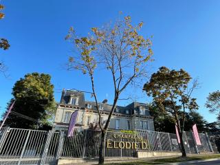 La Demeure d'Élodie - Épernay - 9