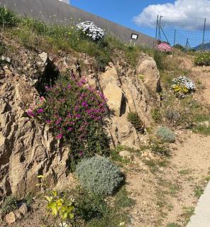 Villa en résidence à Sotta vue panoramique sur Porto-Vecchio ! - Sotta - 6