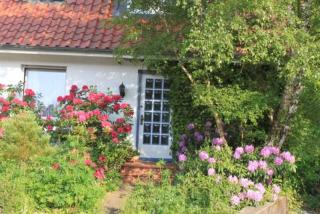 Ferienwohnung Amselstieg Dr Meier - Bad Bevensen - 9