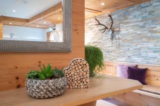 Alphaus Aparthotel - Pertisau - 3