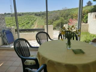 Garrigue sur cour - Saint Pierre La Mer - 4