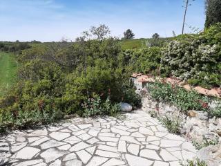 Garrigue sur cour - Saint Pierre La Mer - 5