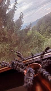 Kuća za odmor Ravne H&N - Visoko - 7